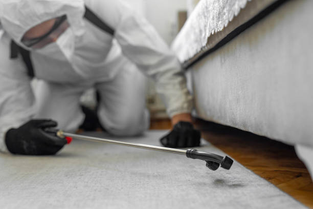 Professional Emergency Pest Control technician working in Providence Village, TX