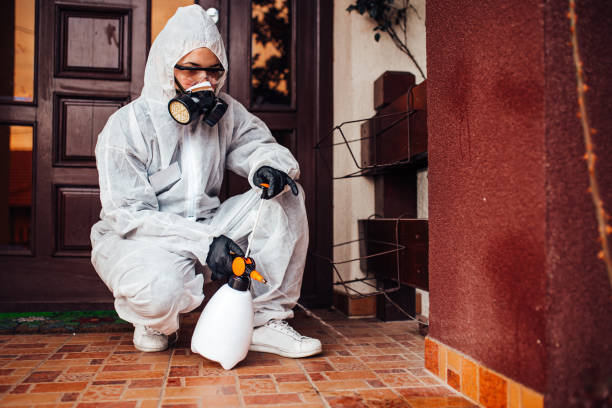 Reliable Emergency Pest Control contractor in Providence Village, TX by Nex Pest Control