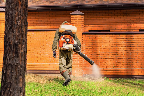 Trusted Termite Control service in Providence Village, TX - Nex Pest Control